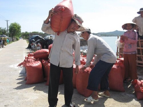 Dịch vụ bốc vác Phường Tây Hồ