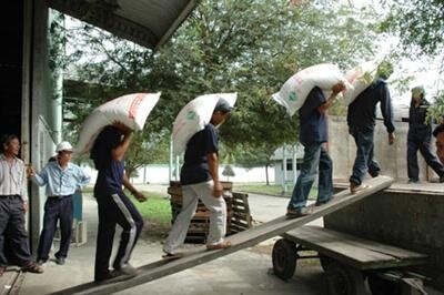 Dịch vụ cửu vạn Phường Hoàng Mai